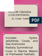 Phylum Cnidaria (Coelenterata) : Gr. Cnide "Nettle"