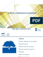 Auditul proiectelor europene.pdf