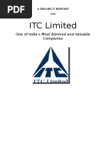 ITC Financial Statement Analysis