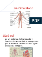 Sistema Circulatorio