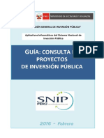 Guia Usuario Consulta PIP