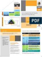 Esquema - competencias SNB.pdf