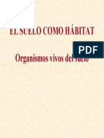 Organismos Del Suelo