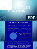 Diapositivas Potencial de Membrana