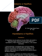 Hipotálamo e Hipófisis