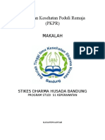 Tentang PKPR