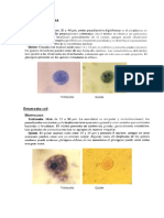 Parasitologia: Protozoarios