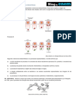 Teoria Da Endosimbiose