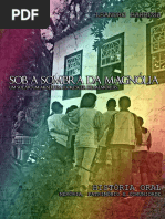 Sob a Sombra Da Magnólia - Um Solar, Um Museu, Um Florescer de Memórias.