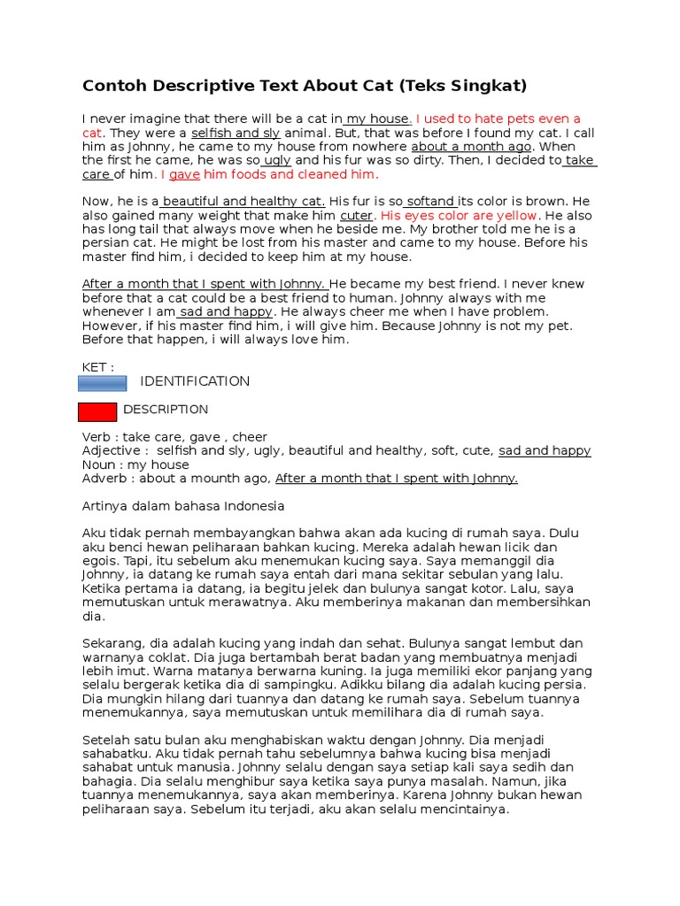 DDContoh Descriptive Text About Cat  PDF