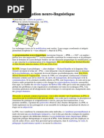 Programmation Neuro Linguistique Programmation Neuro Linguistique Sciences Cognitives