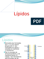 Lipidos Proteinas