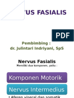 Nervus Fasialis