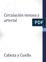 7B. Circulación Venosa y Arterial DEL CUERPO