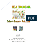 Guia Quimica Biologica-2009