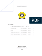 Mineral Non Logam Tugas 1