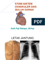 Sistem kardiovaskuler dan anatomi jantung