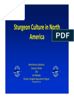 Sturgeon Culture in North America_J Michaels