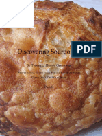 Discoveringsourdough Part 2 PDF