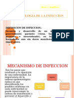 Fisiopatologia de Infeccion
