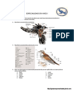 Especialidad en Aves I: Anatomía, Clasificación y Observación