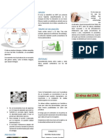 Triptico Zika PDF