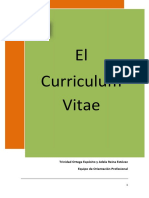 CURRICULUM VITAE.pdf