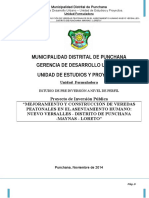 Pip Veredas Punchana-Formulacion