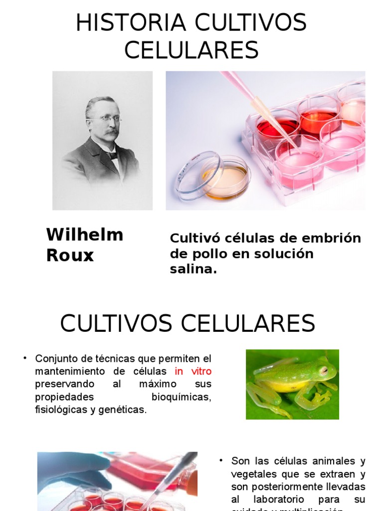 CULTIVOS CELULARES Cultivo de células Ciencias de la tierra y de la vida