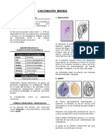 C Mesnili PDF