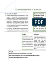 Producción de Biocombustibles a Partir de Microalgas