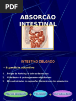 Fisio. Digestorio - Absorção