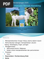 Pakan Kambing