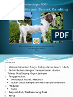 Pakan & Hijauan Ternak Kambing