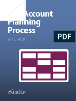 The Account Planning Process