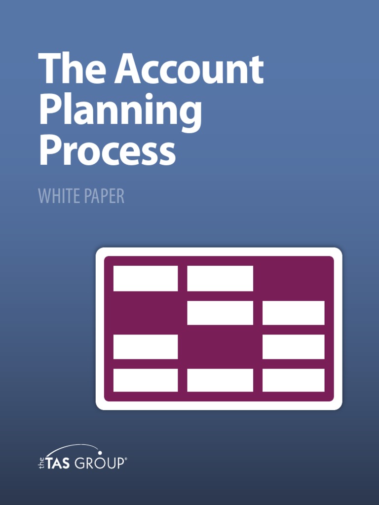 The Account Planning Process | PDF | Customer Relationship Management