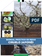 Manual Practico Riego Ciruelo Japones