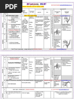 Download 2nd Generation Curriculum MS1  Yearly Planning 201 6  2017 by Samir Bounab SN317037887 doc pdf