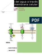 Transporte de Agua A Traves de La Membrana Celular