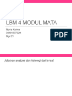LBM 4