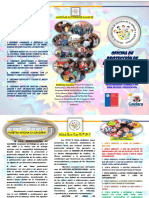 Tríptico NUEVO OPD PDF