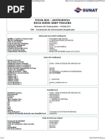 (Datos de Ficha RUC - CIR - (Constancia de Información Registrada - ) ) PDF