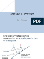 Lecture 1 Protists