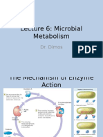 Lecture 6 Microbial Metabolism(1) (1)