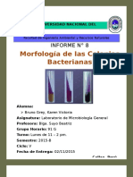 morfologia bacteriana
