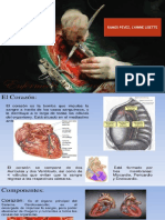 Sistema Cardiovascular