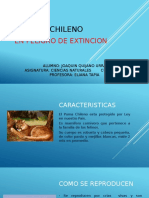 El Puma chileno Trabajo Ciencias Naturales.pptx