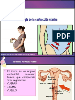 Fisiología de la contracción uterina durante el trabajo de parto