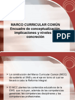 Marco Curricular Común Encuadre de Conceptualización, Implicaciones y Niveles de Concreción