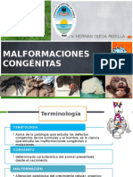 Malformaciones Congenitas